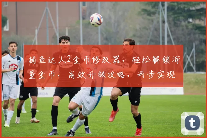 捕鱼达人2金币修改器，轻松解锁海量金币，高效升级攻略，两步实现