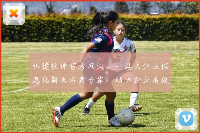 伟德软件官方网站，一站式企业信息化解决方案专家，助力企业高效运营，专业可靠